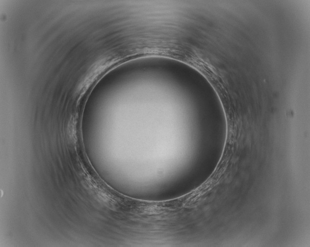 X0000062630098200512211239