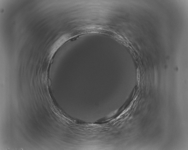 X0000062630099200512211239