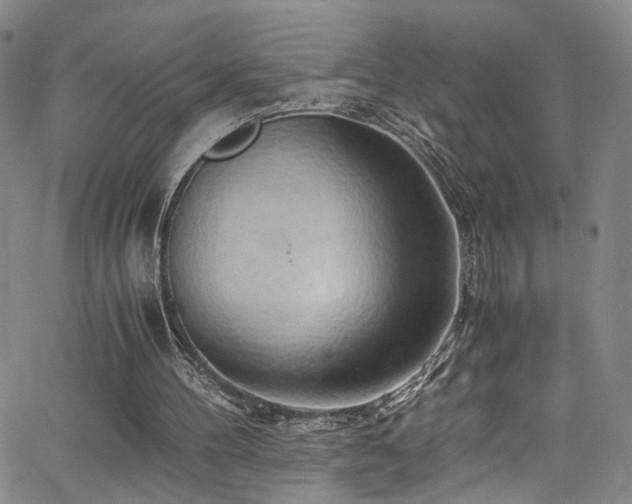 X0000062630100200512211239