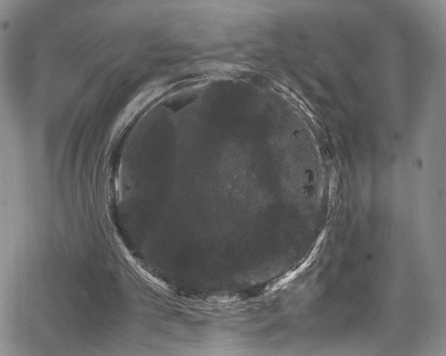 X0000062630101200512211239