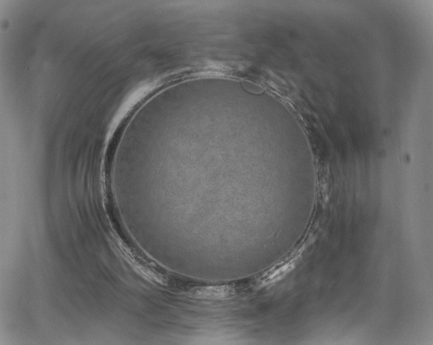 X0000062630102200512211239