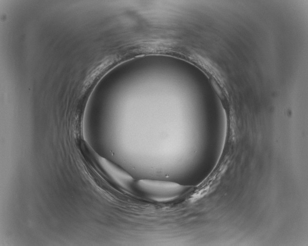 X0000062630105200512211239