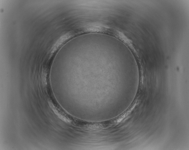 X0000062630106200512211239