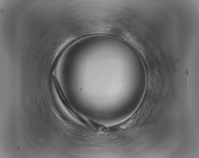 X0000062630107200512211239