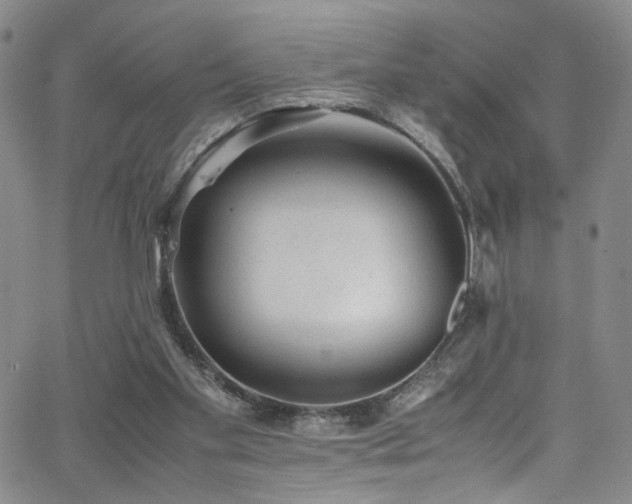 X0000062630109200512211239