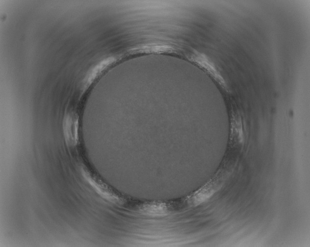 X0000062630110200512211239