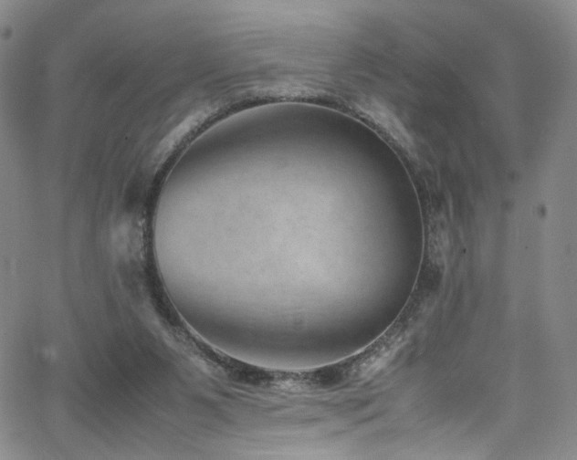 X0000062630111200512211239