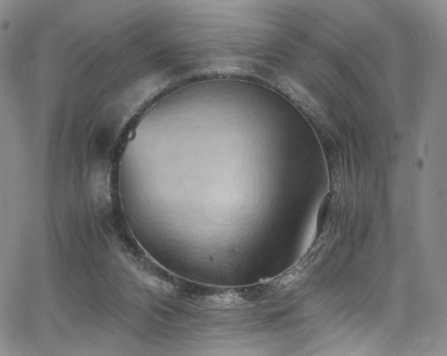 X0000062630112200512211239