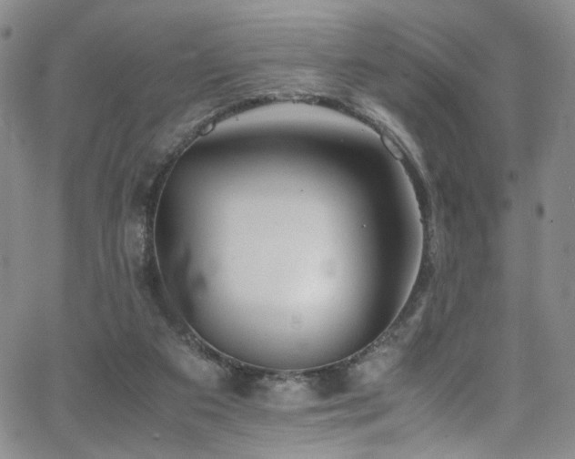 X0000062630113200512211239