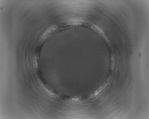 X0000062630114200512211239