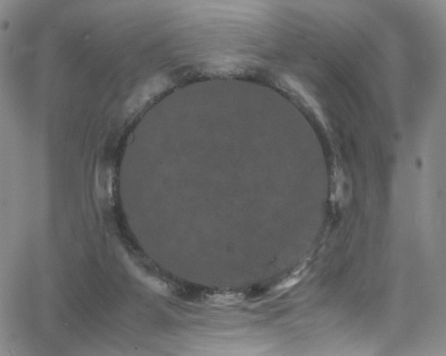 X0000062630115200512211239