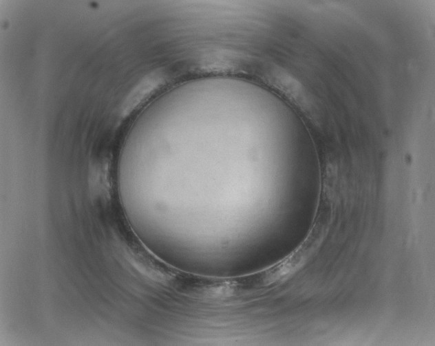 X0000062630116200512211239