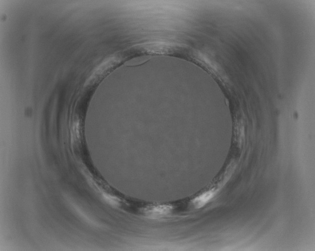 X0000062630117200512211239