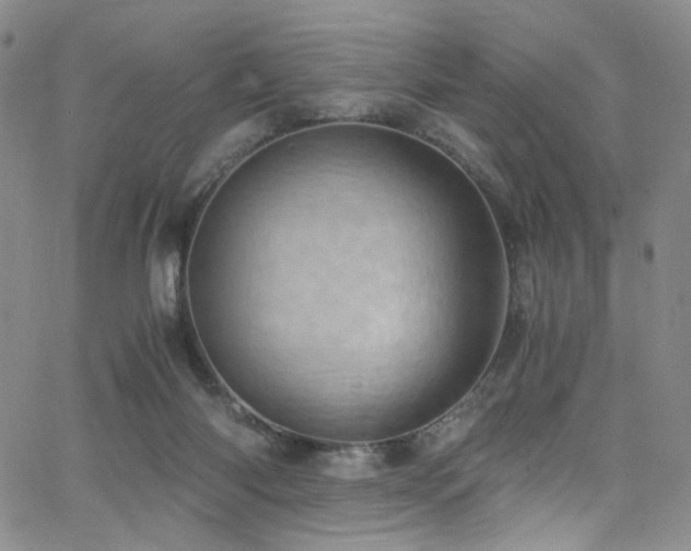 X0000062630118200512211239