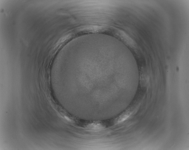 X0000062630119200512211239