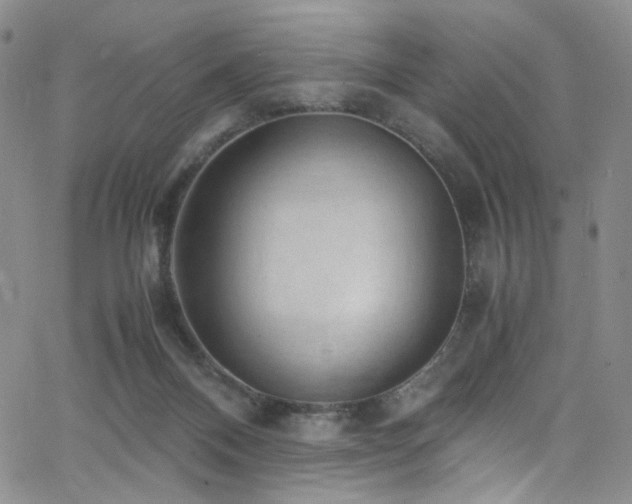 X0000062630120200512211239