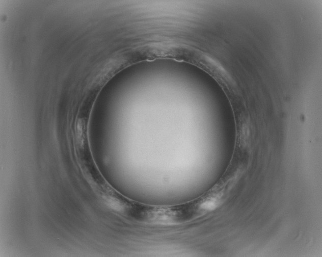 X0000062630121200512211239