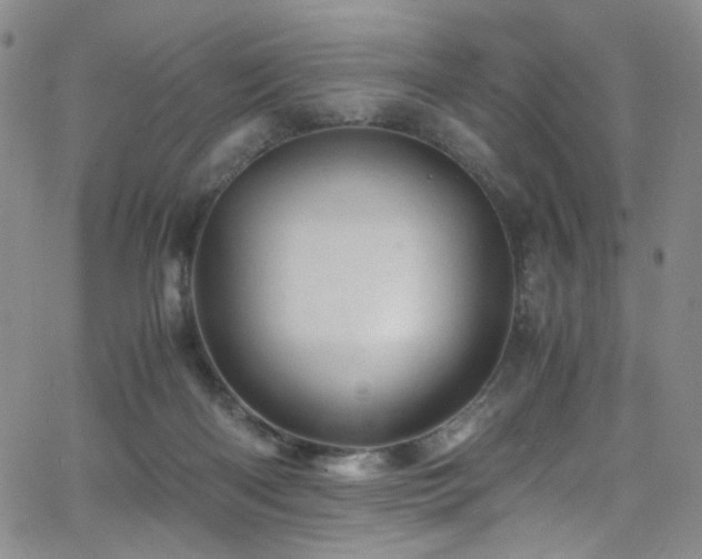 X0000062630122200512211239