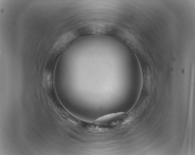 X0000062630123200512211239