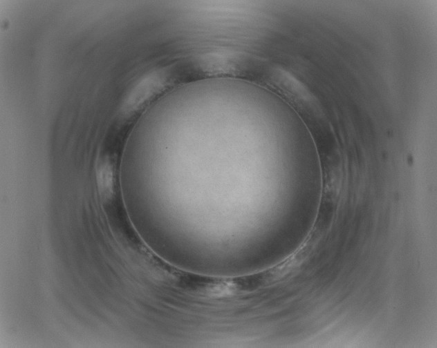 X0000062630124200512211239