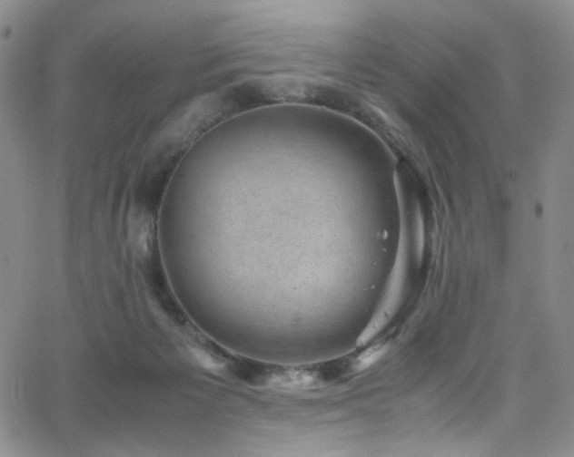 X0000062630125200512211239