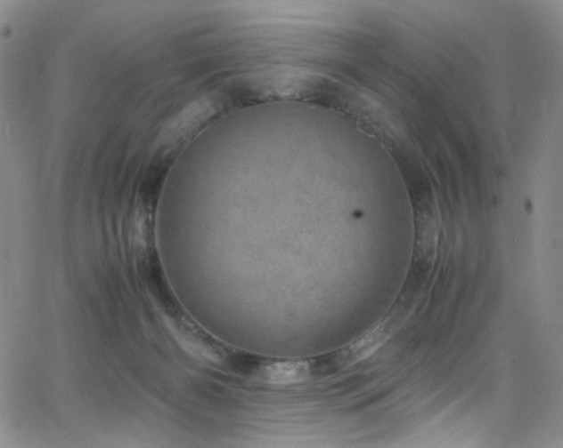 X0000062630126200512211239