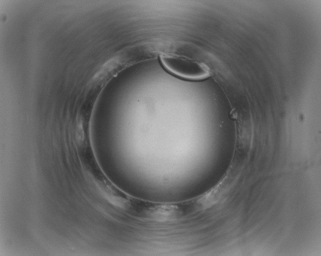 X0000062630128200512211239