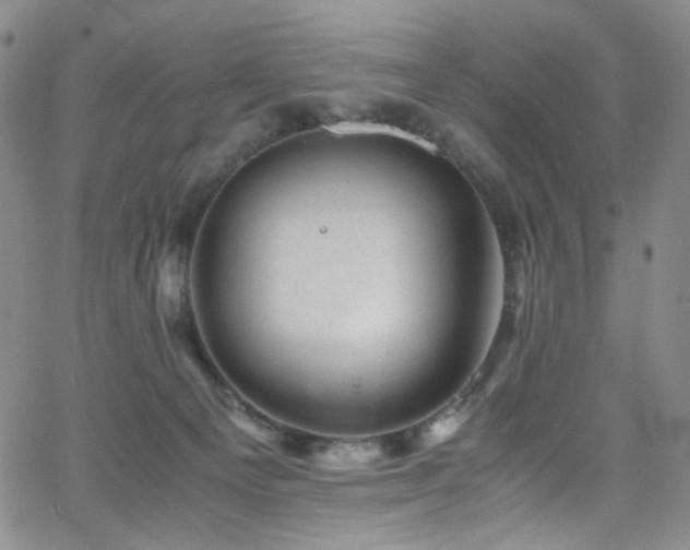 X0000062630129200512211239