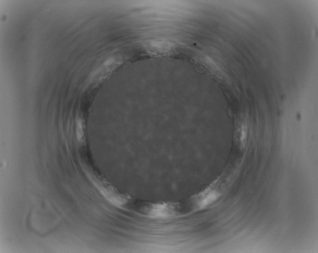 X0000062630130200512211239