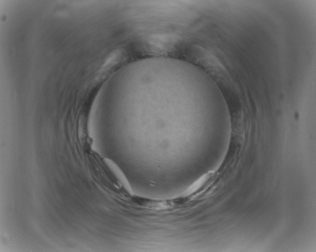 X0000062630131200512211239