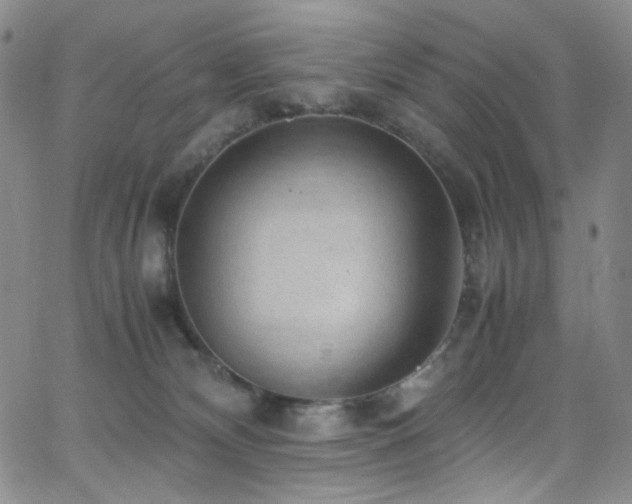 X0000062630132200512211239