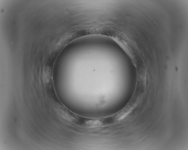 X0000062630133200512211239