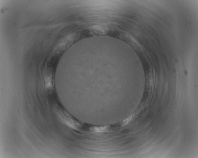 X0000062630134200512211239