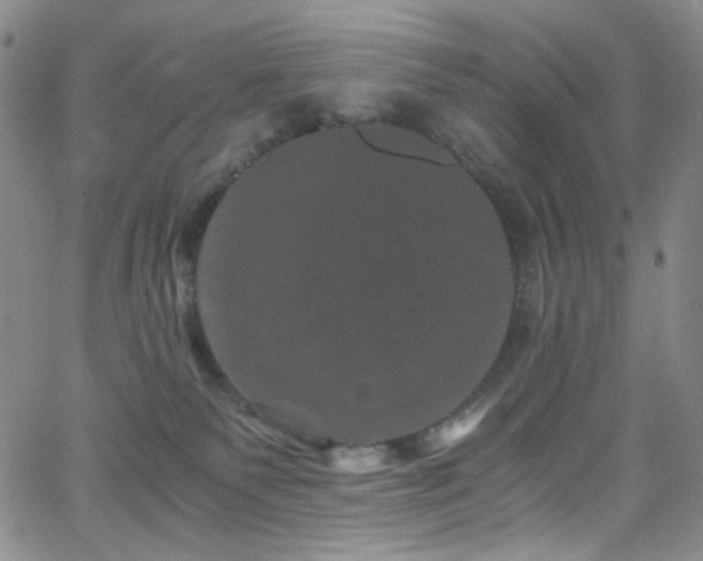 X0000062630135200512211239