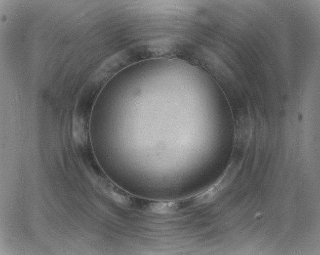 X0000062630136200512211239