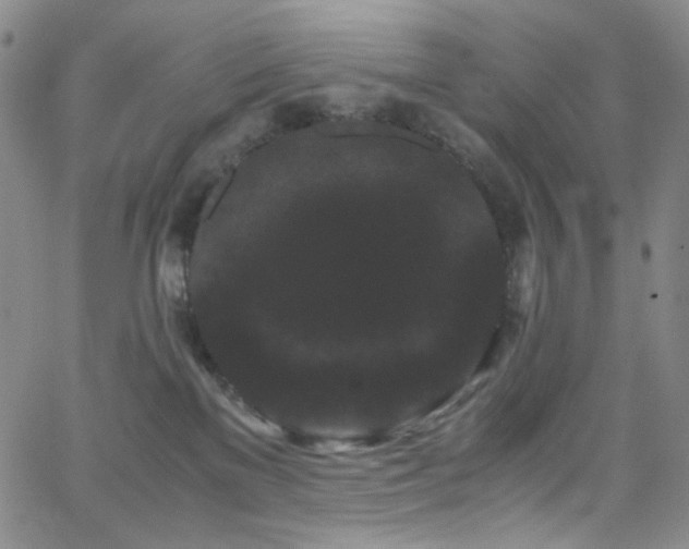 X0000062630137200512211239