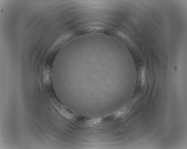 X0000062630138200512211239