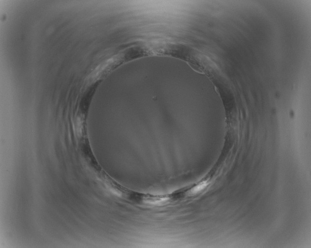 X0000062630139200512211239