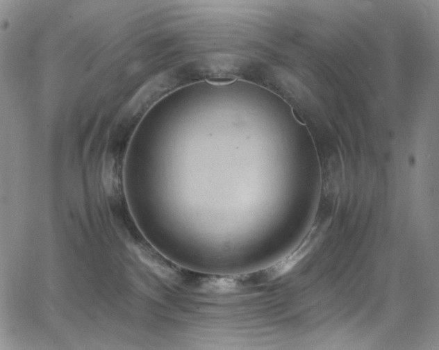 X0000062630140200512211239