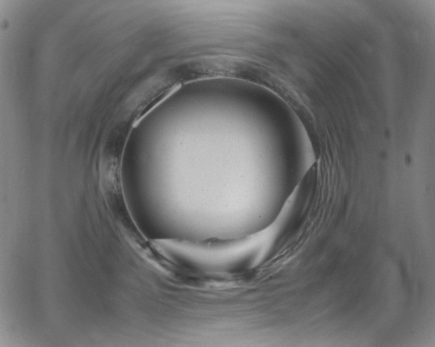 X0000062630141200512211239