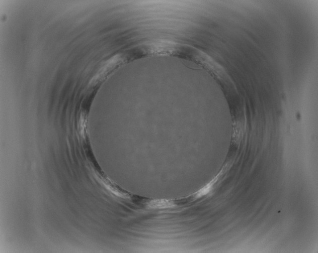 X0000062630142200512211239