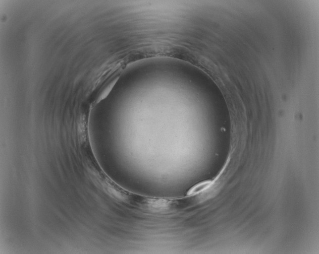 X0000062630144200512211239