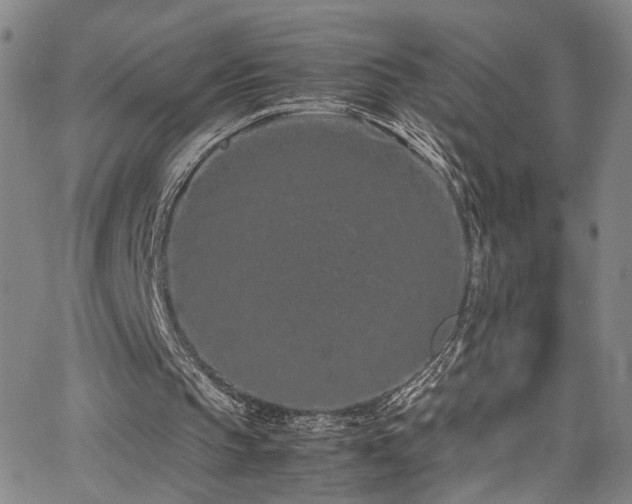 X0000062630145200512211238