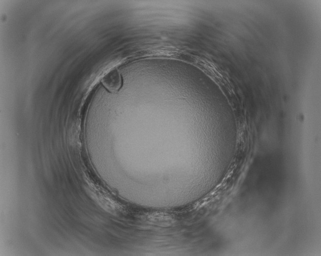 X0000062630146200512211238