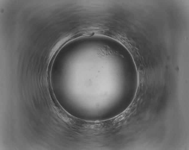 X0000062630147200512211238