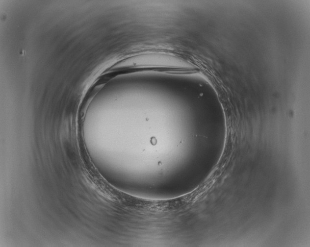 X0000062630148200512211238