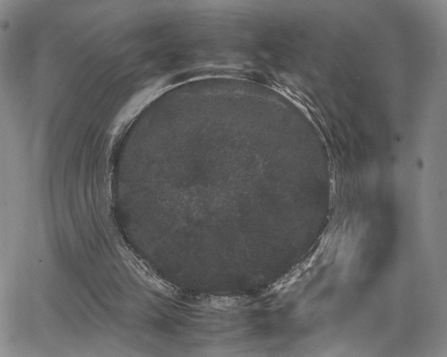 X0000062630149200512211238