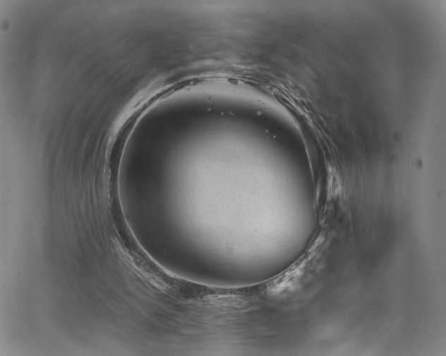 X0000062630150200512211238