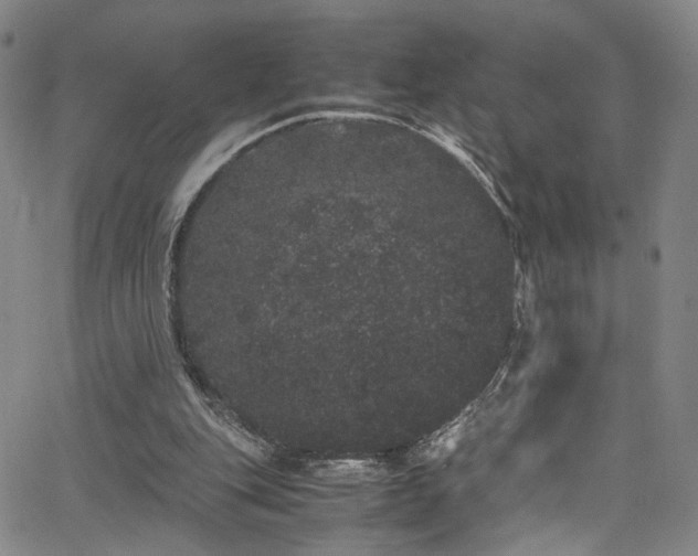 X0000062630151200512211238