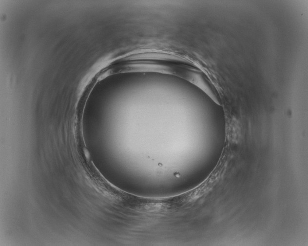 X0000062630152200512211238